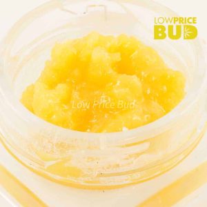 Caviar – Pineapple Creamsicle Buy Caviar – Pineapple Creamsicle online Canada