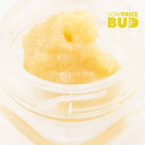 Caviar – Tangie Buy Caviar – Tangie online Canada