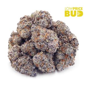 OJ Kush (Craft Cannabis) Buy OJ Kush (Craft Cannabis) online Canada