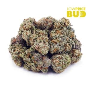 Strawnana (AA) Buy Strawnana (AA) online Canada