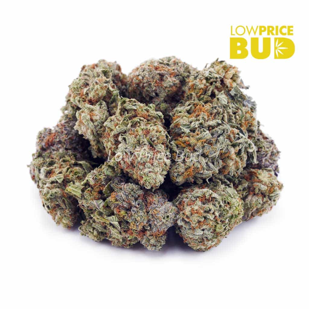 Strawnana (AA) Buy Strawnana (AA) online Canada