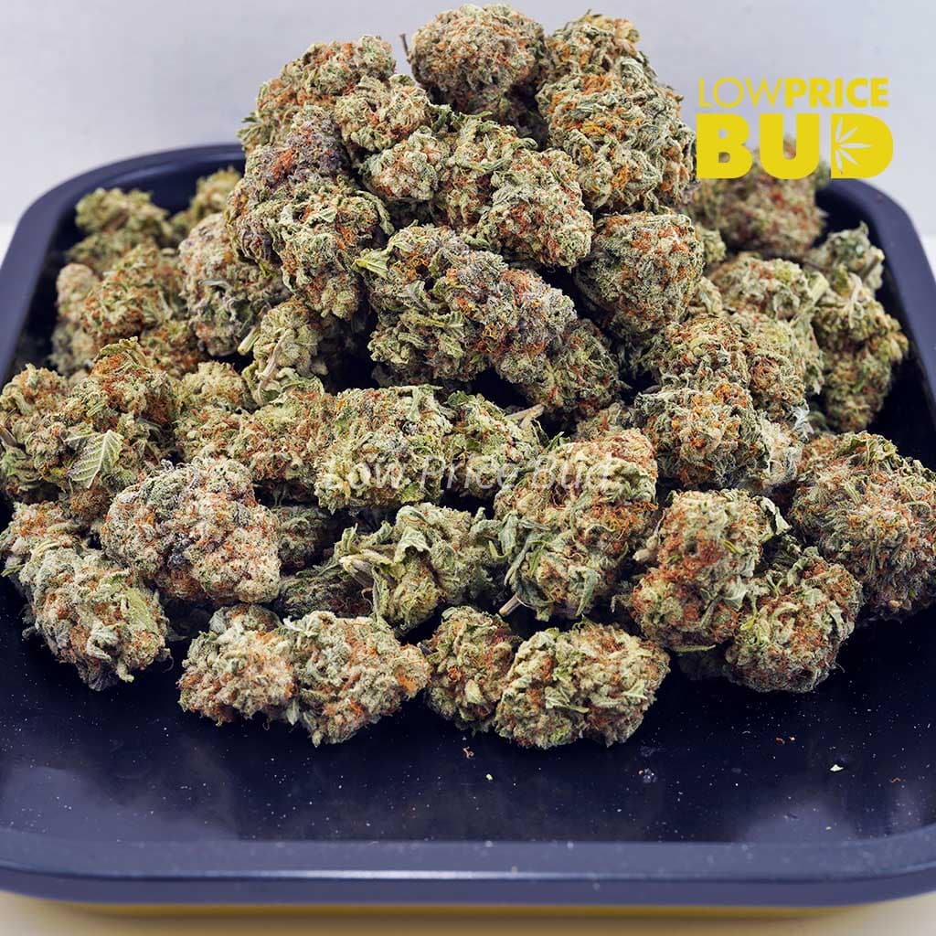 Strawnana (AA) Buy Strawnana (AA) online Canada