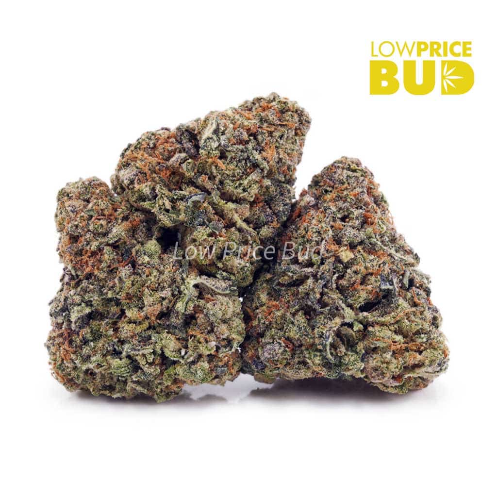 Bubblicious (AAAA) Buy Bubblicious (AAAA) online Canada