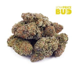 Bubblicious (AAAA) Buy Bubblicious (AAAA) online Canada
