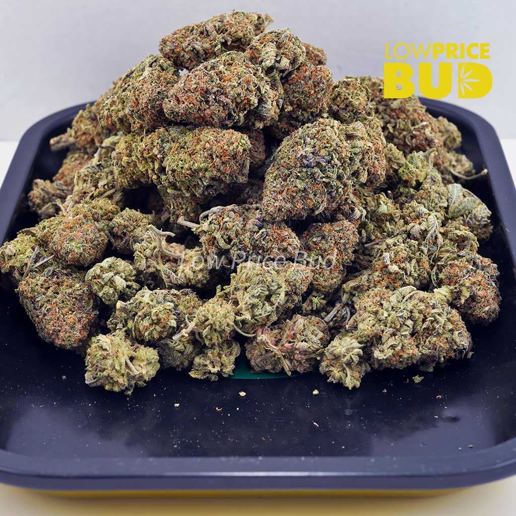 Bubblicious (AAAA) Buy Bubblicious (AAAA) online Canada