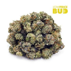 Rockstar (AAAA) – Popcorn Nugs Buy Rockstar (AAAA) – Popcorn Nugs online Canada