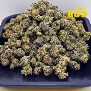 Rockstar (AAAA) – Popcorn Nugs Buy Rockstar (AAAA) – Popcorn Nugs online Canada