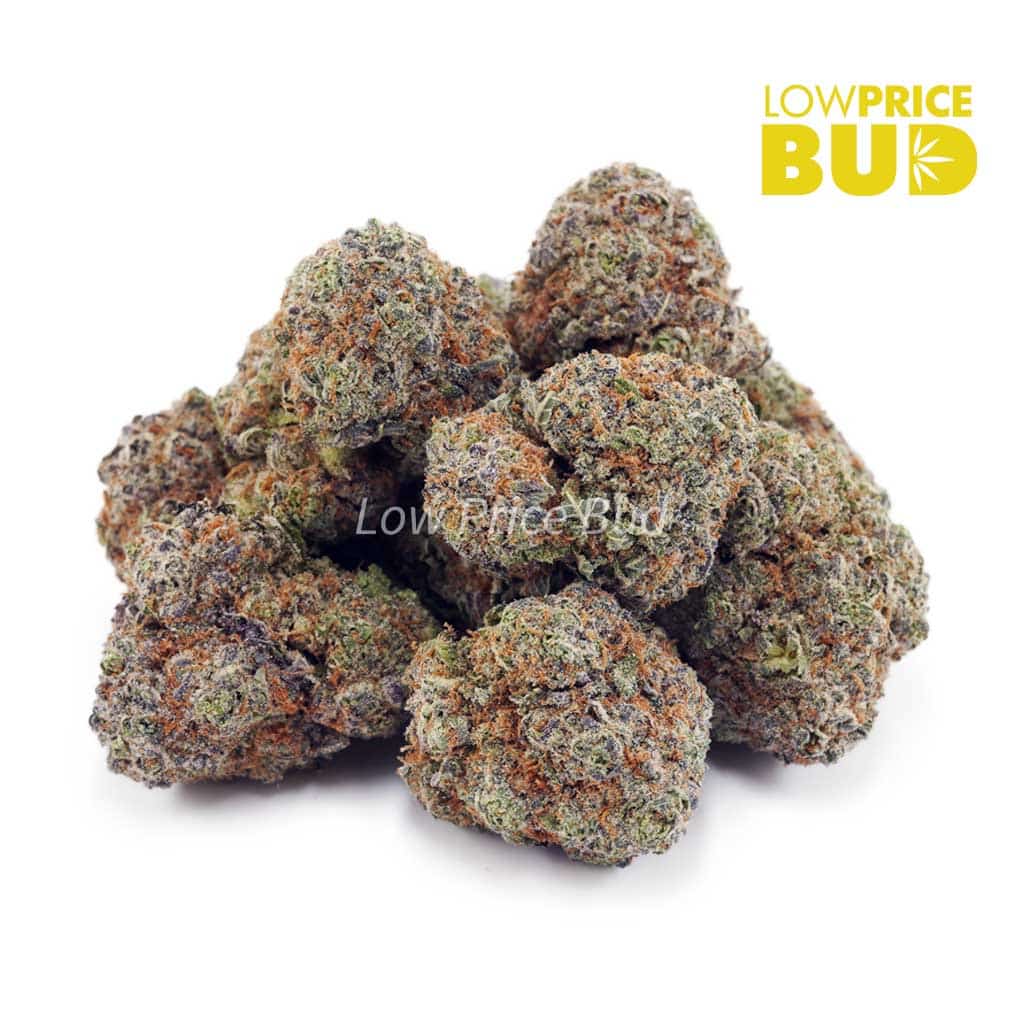 Purple Punch (AAAA) Buy Purple Punch (AAAA) online Canada