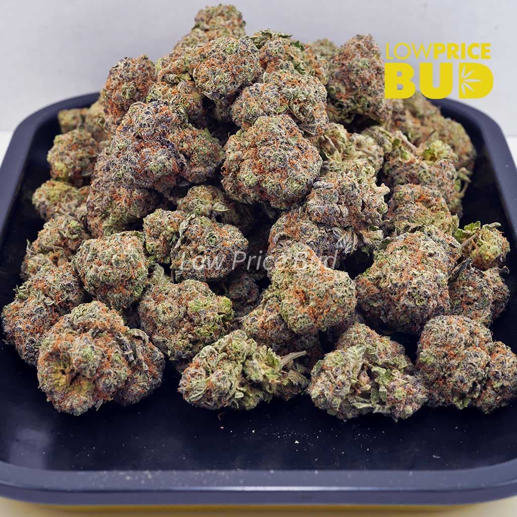 Purple Punch (AAAA) Buy Purple Punch (AAAA) online Canada