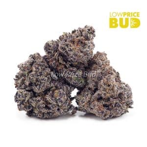 Jet Fuel Gelato (Craft Cannabis) Buy Jet Fuel Gelato (Craft Cannabis) online Canada