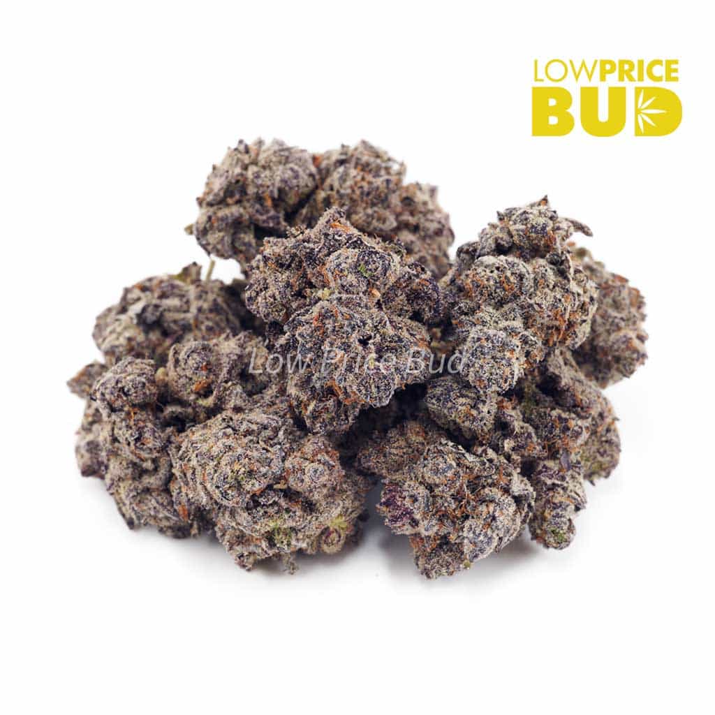 Jet Fuel Gelato (Craft Cannabis) Buy Jet Fuel Gelato (Craft Cannabis) online Canada