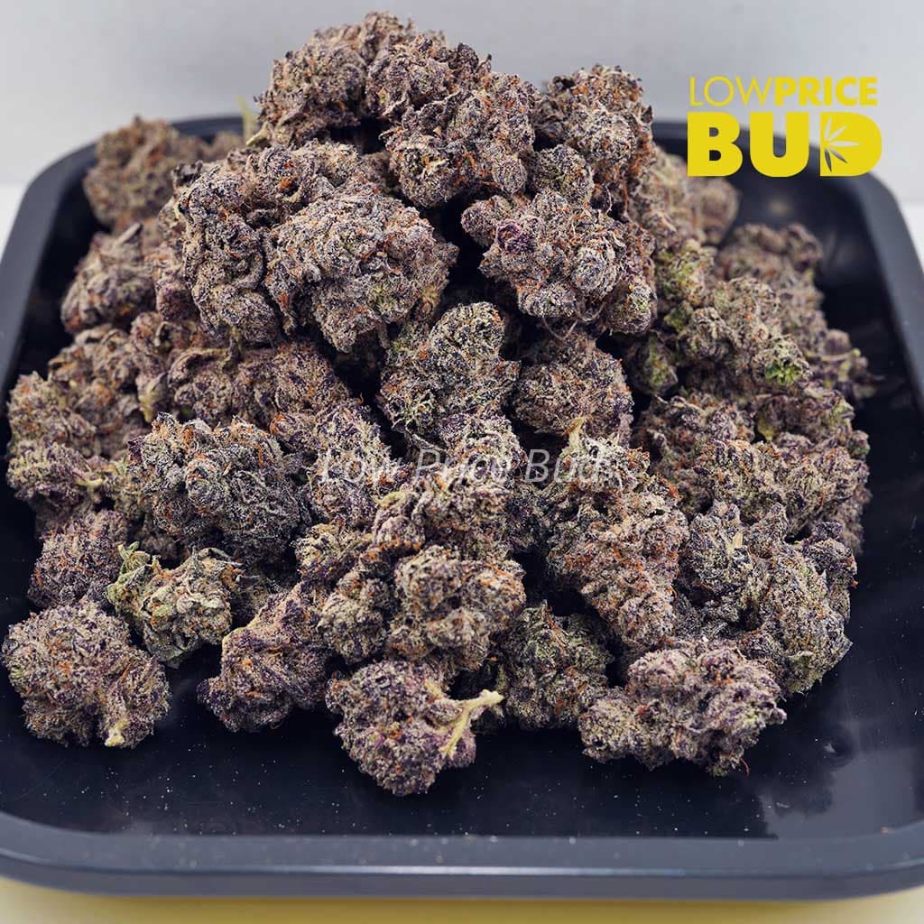 Jet Fuel Gelato (Craft Cannabis) Buy Jet Fuel Gelato (Craft Cannabis) online Canada