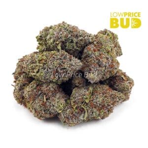 El Diablo (AAAA) Buy El Diablo (AAAA) online Canada