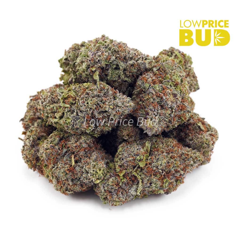 El Diablo (AAAA) Buy El Diablo (AAAA) online Canada