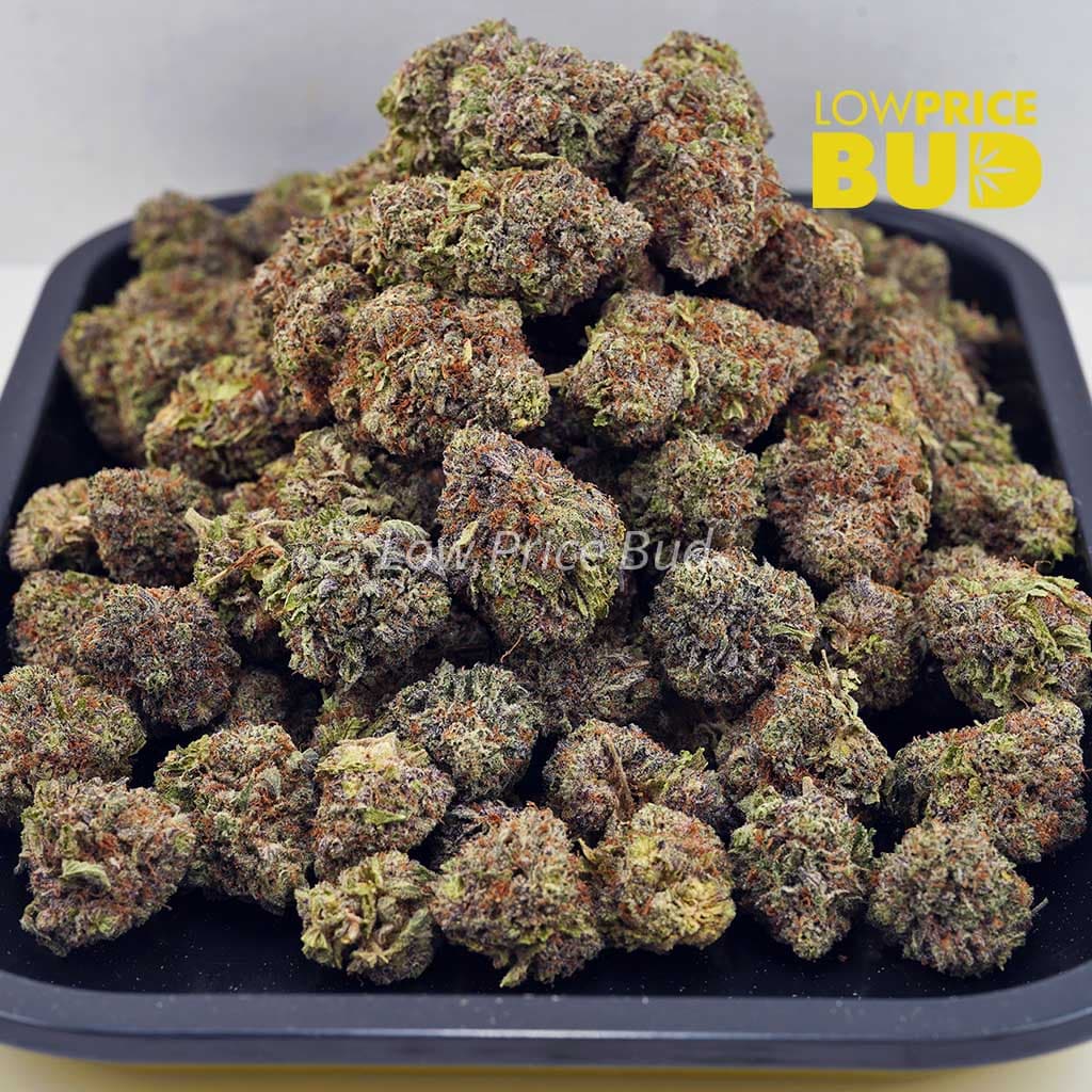 El Diablo (AAAA) Buy El Diablo (AAAA) online Canada