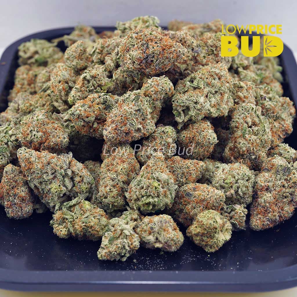 Funky Charmz (AAAA) Buy Funky Charmz (AAAA) online Canada