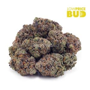 Couch Lock (Craft Cannabis) Buy Couch Lock (Craft Cannabis) online Canada