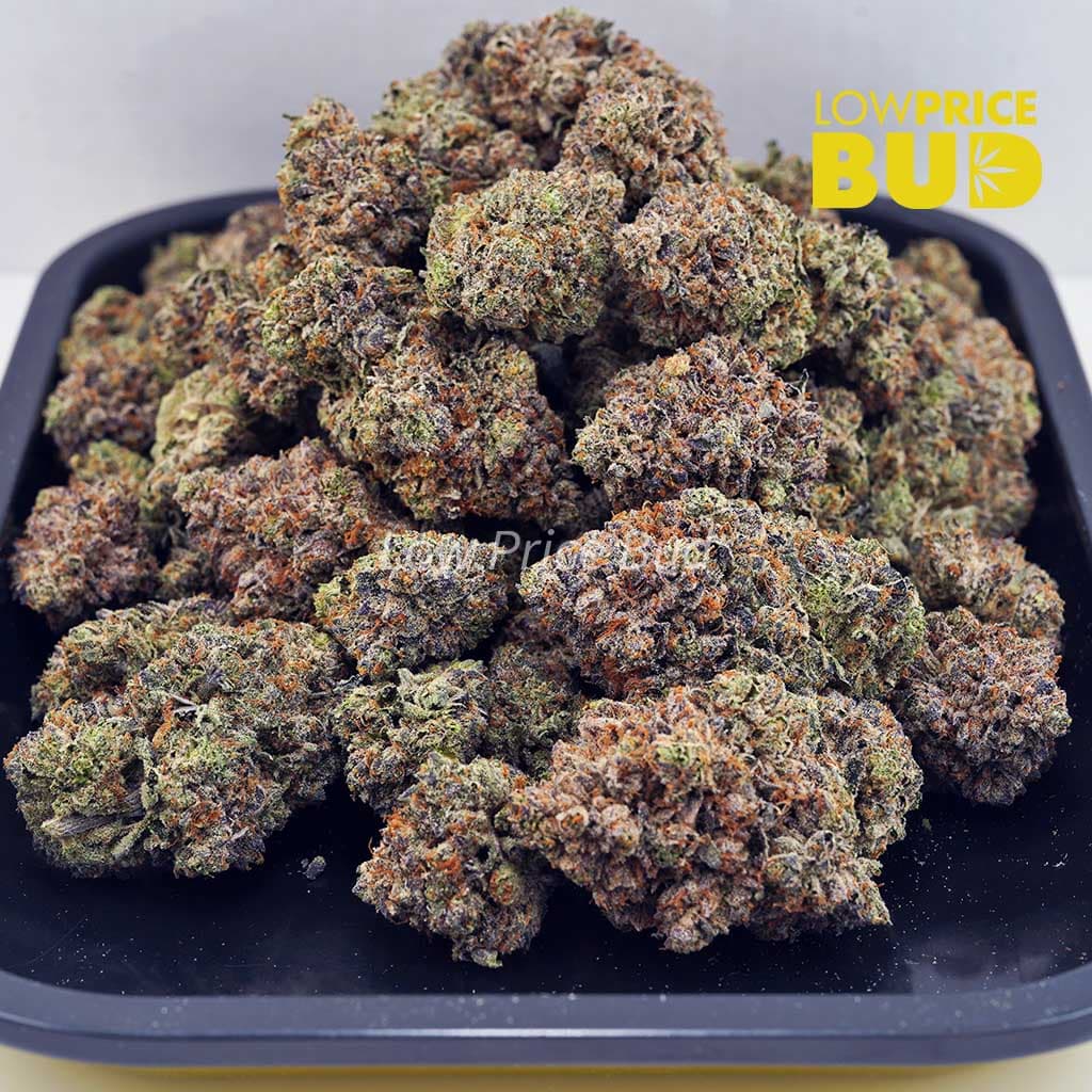 Couch Lock (Craft Cannabis) Buy Couch Lock (Craft Cannabis) online Canada