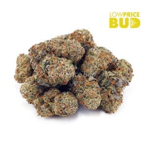 AK-47 (AA) Buy AK-47 (AA) online Canada