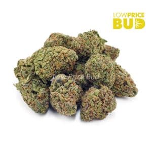 Thin Mintz (AAA) Buy Thin Mintz (AAA) online Canada