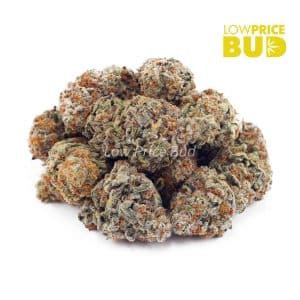 Scooby Snacks (AAA) Buy Scooby Snacks (AAA) online Canada