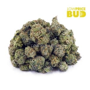 Pink Candy Kush (AAAA) – Popcorn Nugs Buy Pink Candy Kush (AAAA) – Popcorn Nugs online Canada