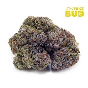 Pink Kush (AAAA) Buy Pink Kush (AAAA) online Canada
