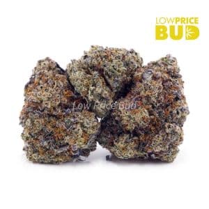 Blueberry Cheesecake (Craft Cannabis) Buy Blueberry Cheesecake (Craft Cannabis) online Canada