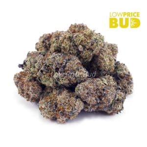 Blueberry Cheesecake (Craft Cannabis) Buy Blueberry Cheesecake (Craft Cannabis) online Canada