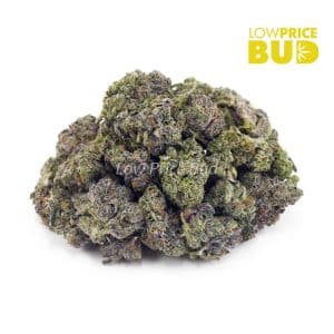 Platinum Pink (AAAA) – Popcorn Nugs Buy Platinum Pink (AAAA) – Popcorn Nugs online Canada