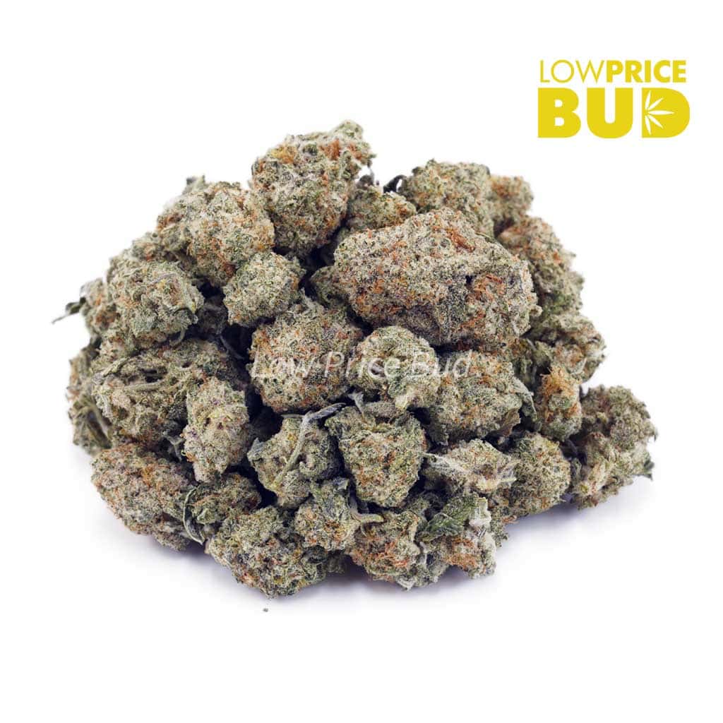 Dolato (AAAA) – Popcorn Nugs Buy Dolato (AAAA) – Popcorn Nugs online Canada