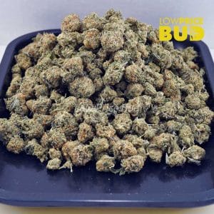 Dolato (AAAA) – Popcorn Nugs Buy Dolato (AAAA) – Popcorn Nugs online Canada