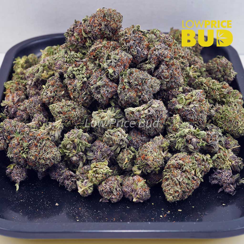 Alaskan Thunder Fuck (AAA) Buy Alaskan Thunder Fuck (AAA) online Canada