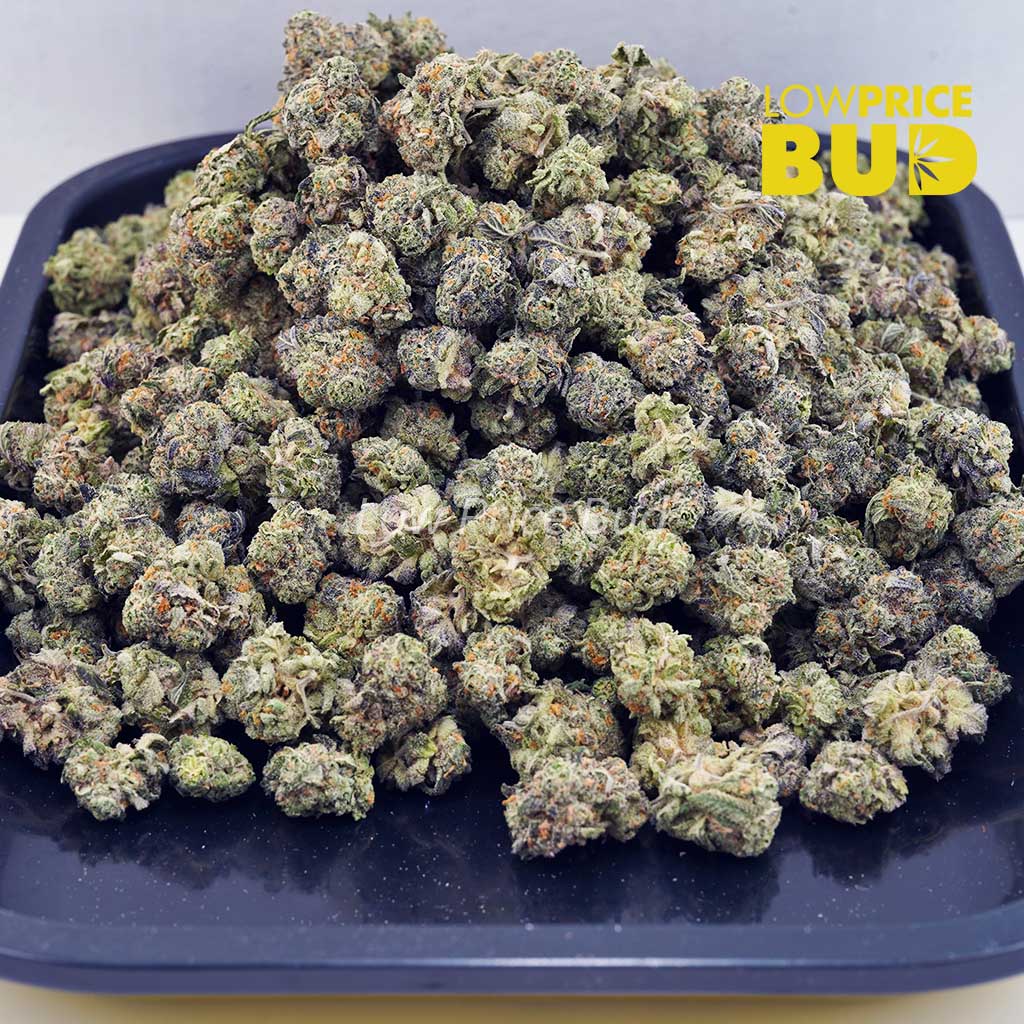 Fruit Loopz (AAAA) – Popcorn Nugs Buy Fruit Loopz (AAAA) – Popcorn Nugs online Canada