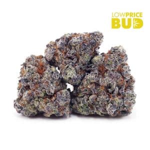 Laughing Buddha (Craft Cannabis) Buy Laughing Buddha (Craft Cannabis) online Canada
