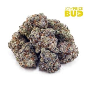 Laughing Buddha (Craft Cannabis) Buy Laughing Buddha (Craft Cannabis) online Canada