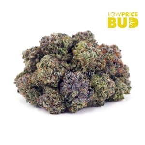Buy Death Pink (AAA) online Canada