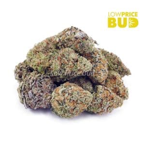 Buy Jet Fuel Gelato (Craft Cannabis) online Canada