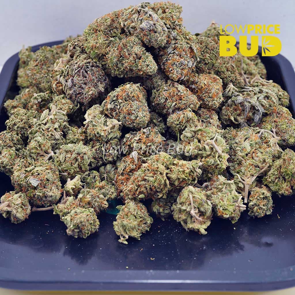 Jet Fuel Gelato (Craft Cannabis) Buy Jet Fuel Gelato (Craft Cannabis) online Canada