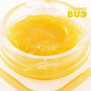 Buy Caviar – El Chapo online Canada