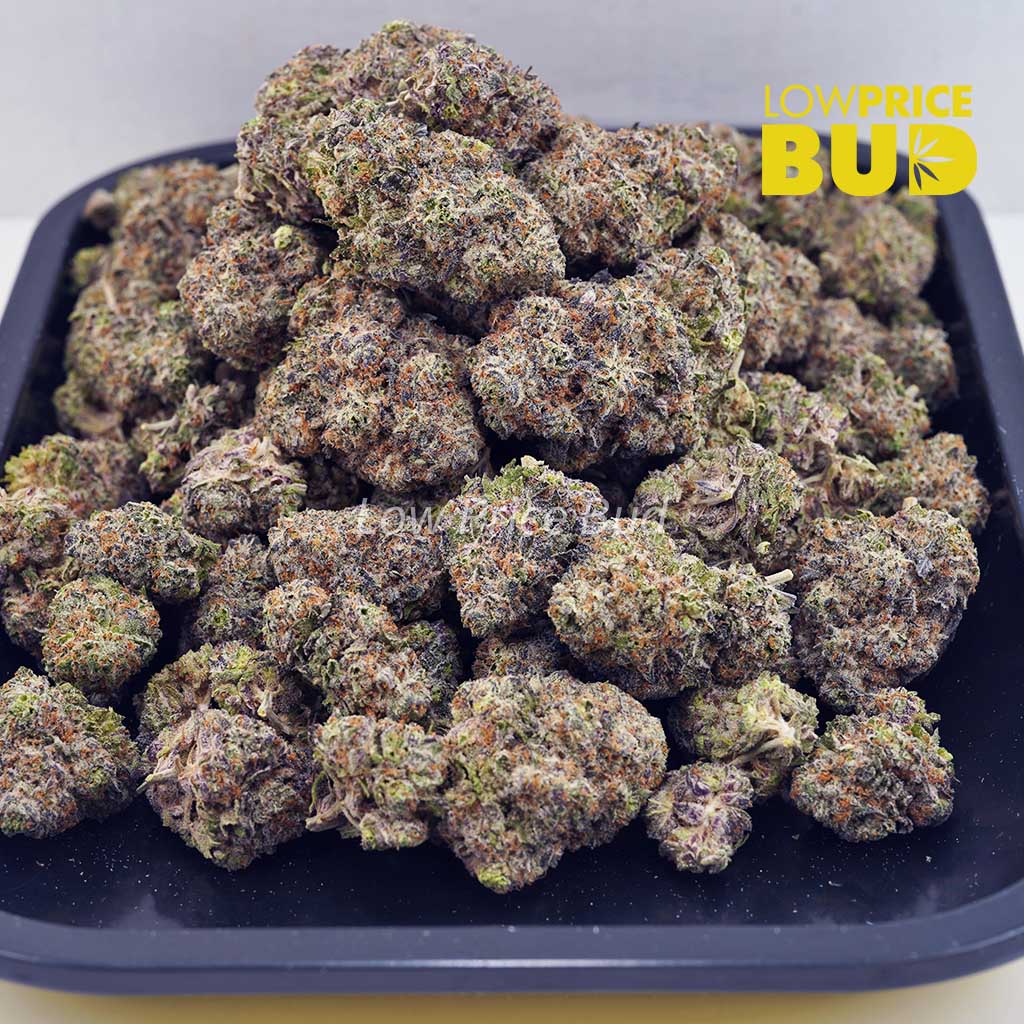 White Widow (AAAA) Buy White Widow (AAAA) online Canada