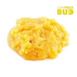 Buy Caviar – Pink Rockstar online Canada
