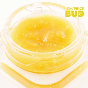 Buy Caviar – Pink Rockstar online Canada
