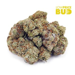 Buy Dragons Breath (AAA) online Canada