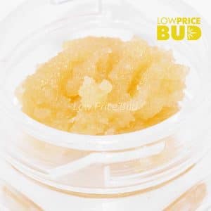 Caviar – High Octane Buy Caviar – High Octane online Canada