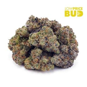 Skywalker OG (AAA) Buy Skywalker OG (AAA) online Canada