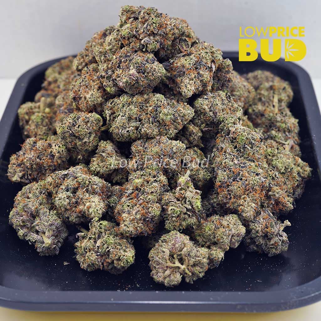 Pink Rockstar (AAA) Buy Pink Rockstar (AAA) online Canada