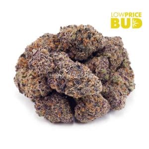 Supreme Grape Stomper (Craft Cannabis) Buy Supreme Grape Stomper (Craft Cannabis) online Canada