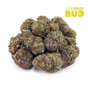 Marshmellow OG (AA) Buy Marshmellow OG (AA) online Canada