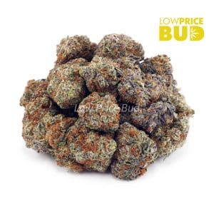 Platinum Blackberry (AA) Buy Platinum Blackberry (AA) online Canada